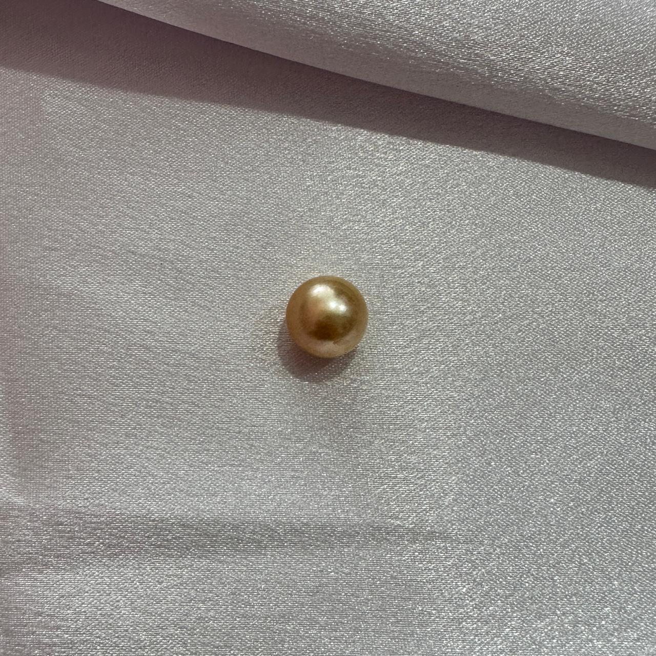 Golden South Sea Pearl