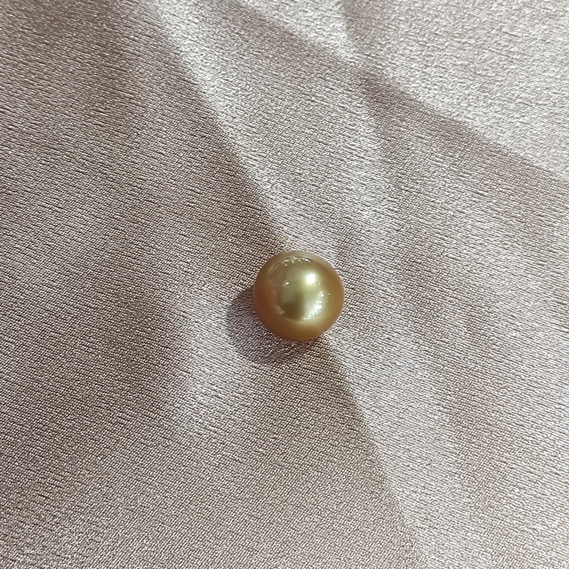 1 lot of Golden South Sea Pearls AA Grade