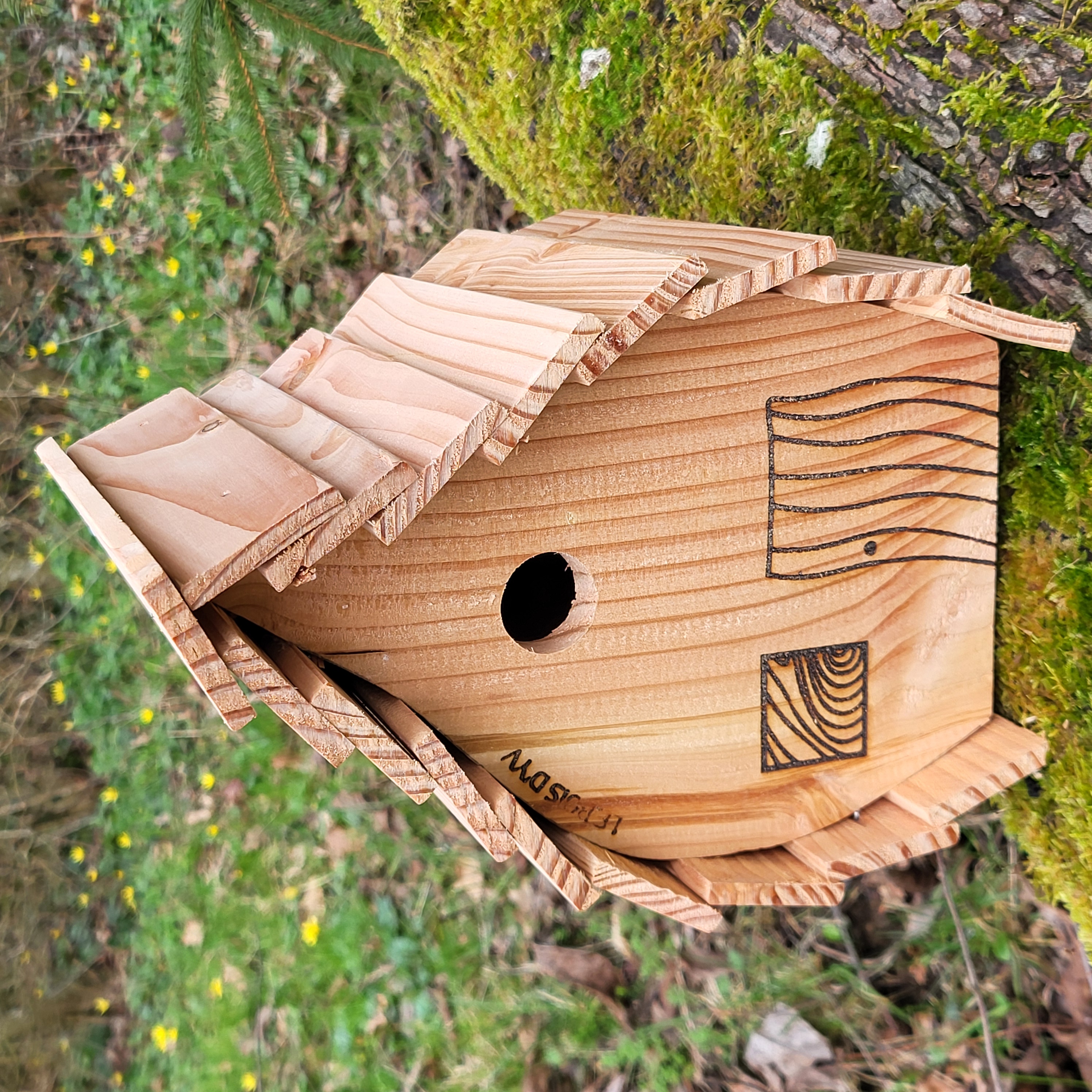 Nichoir Elfe robinier