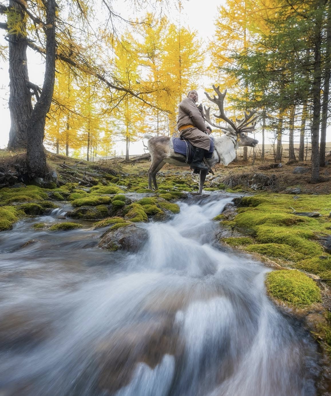 MONGOLIAN REINDEER HERDERS TOUR (8 DAYS)