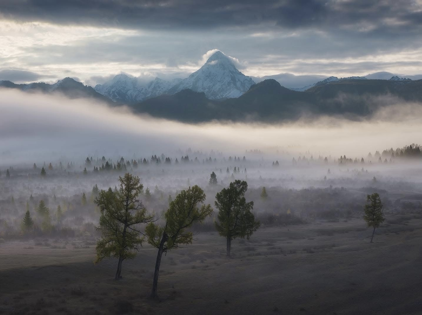 MONGOLIAN REINDEER HERDERS TOUR (8 DAYS)