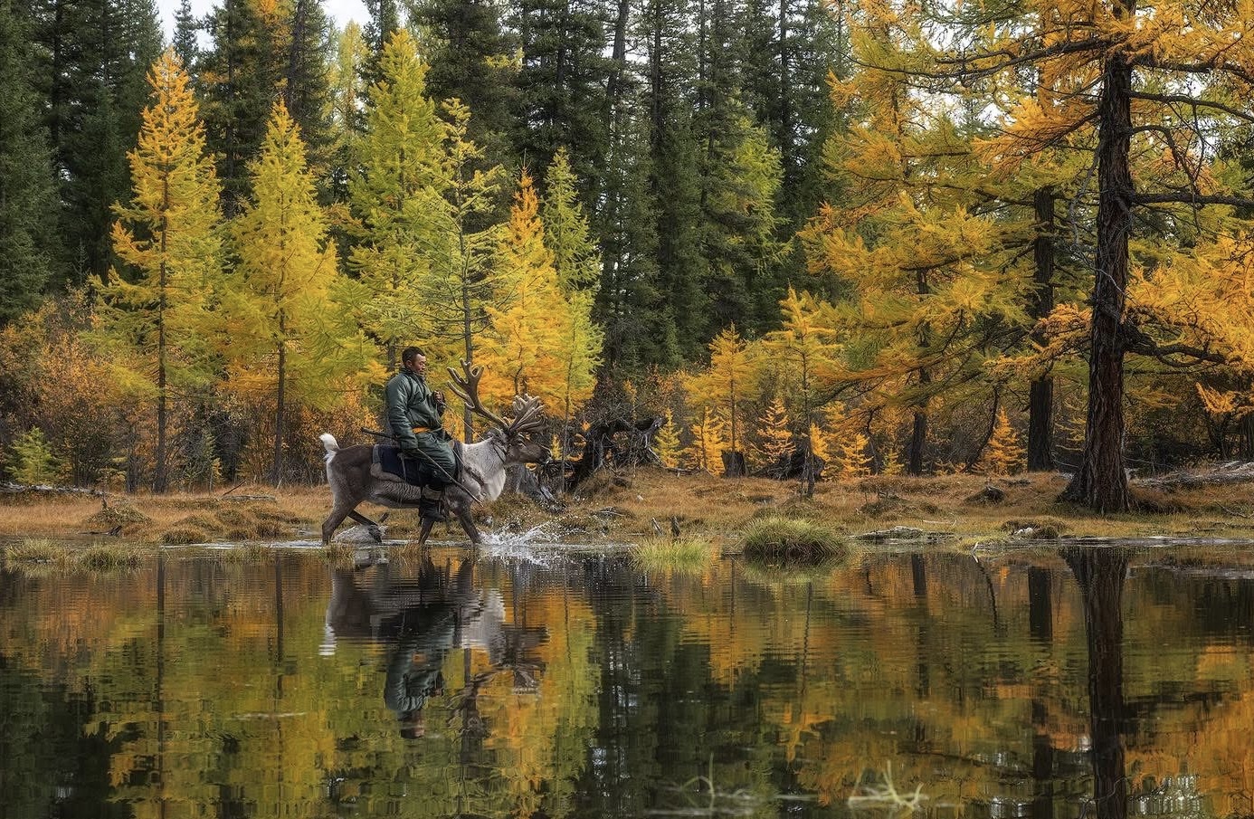 MONGOLIAN REINDEER HERDERS TOUR (8 DAYS)