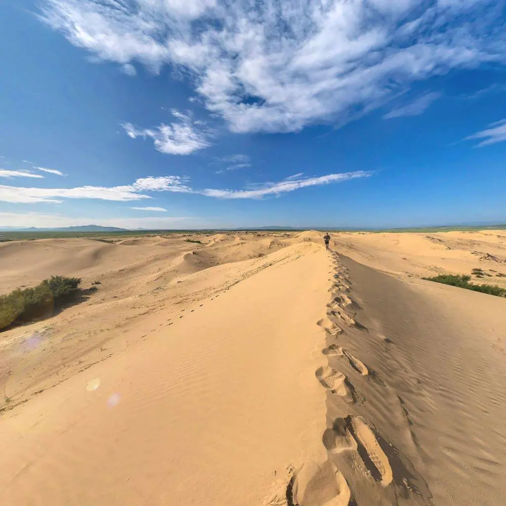 The Desert Preview: Semi-Gobi (Elsen Tasarkhai) Day Tour