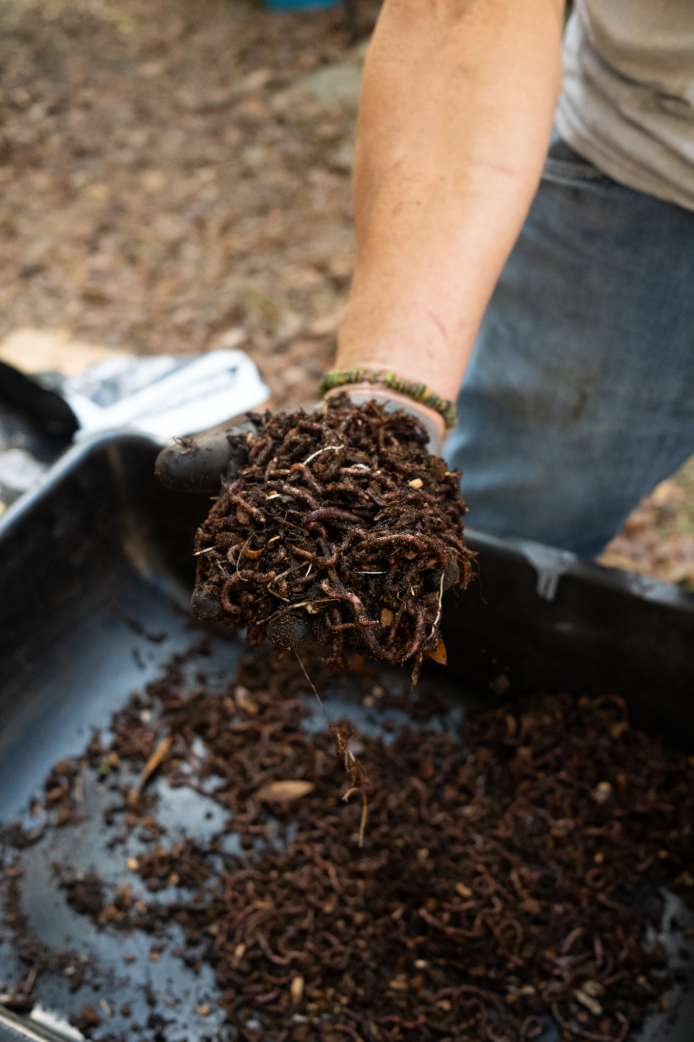 Organic Compost