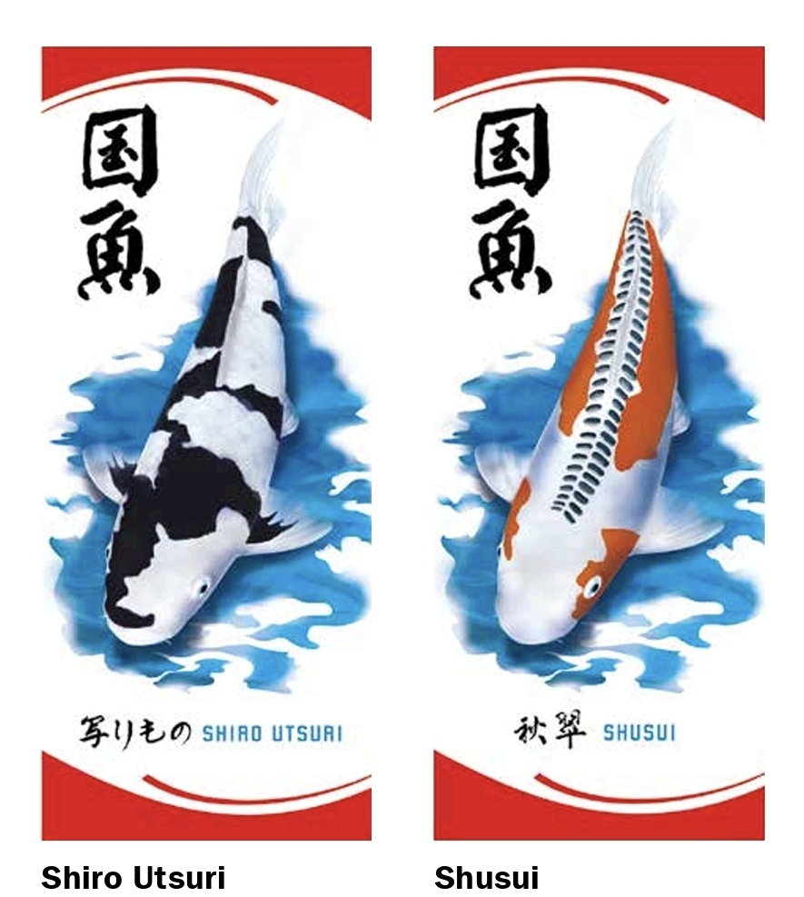 Koi Fahne / Flagge in 5 verschiedenen Koi Varitäten