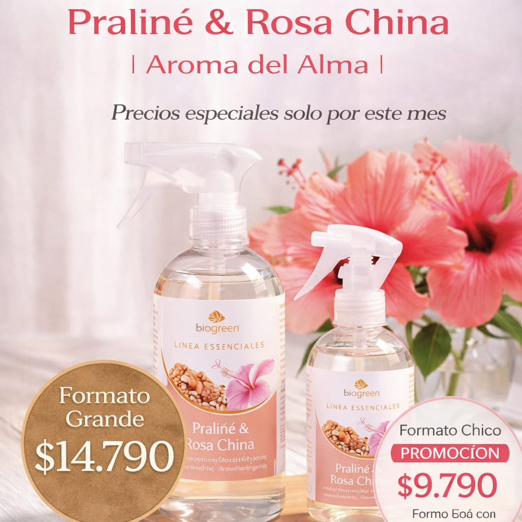 🌸✨ Praliné & Rosa China | Aromas del Alma | 500 ML ✨🌸