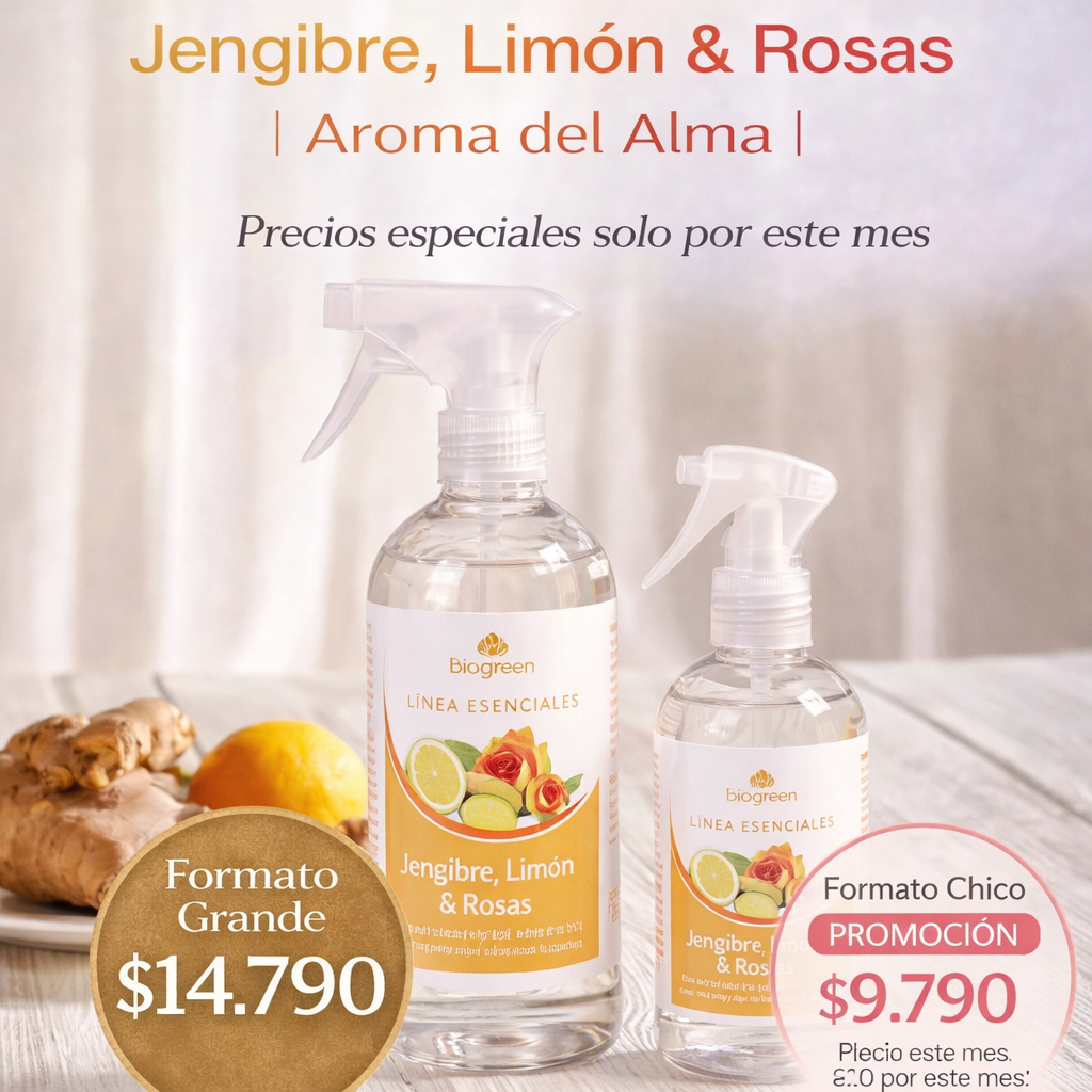  🍋🌿🌹 Jengibre, Limón & Rosas | Aromas del Alma | 500 ML✨