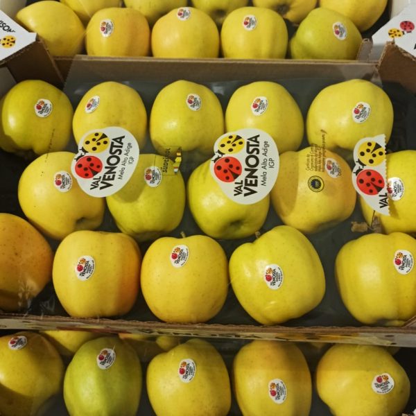Manzanas Golden ValVenosta