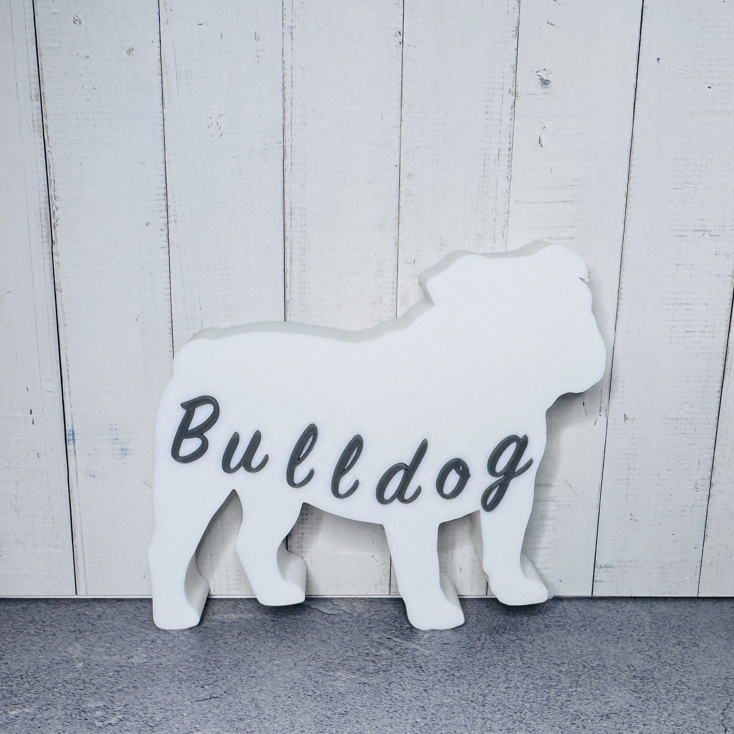 Bulldogge in weiß und grau | Hund | Haustier | Hundeliebhaber 