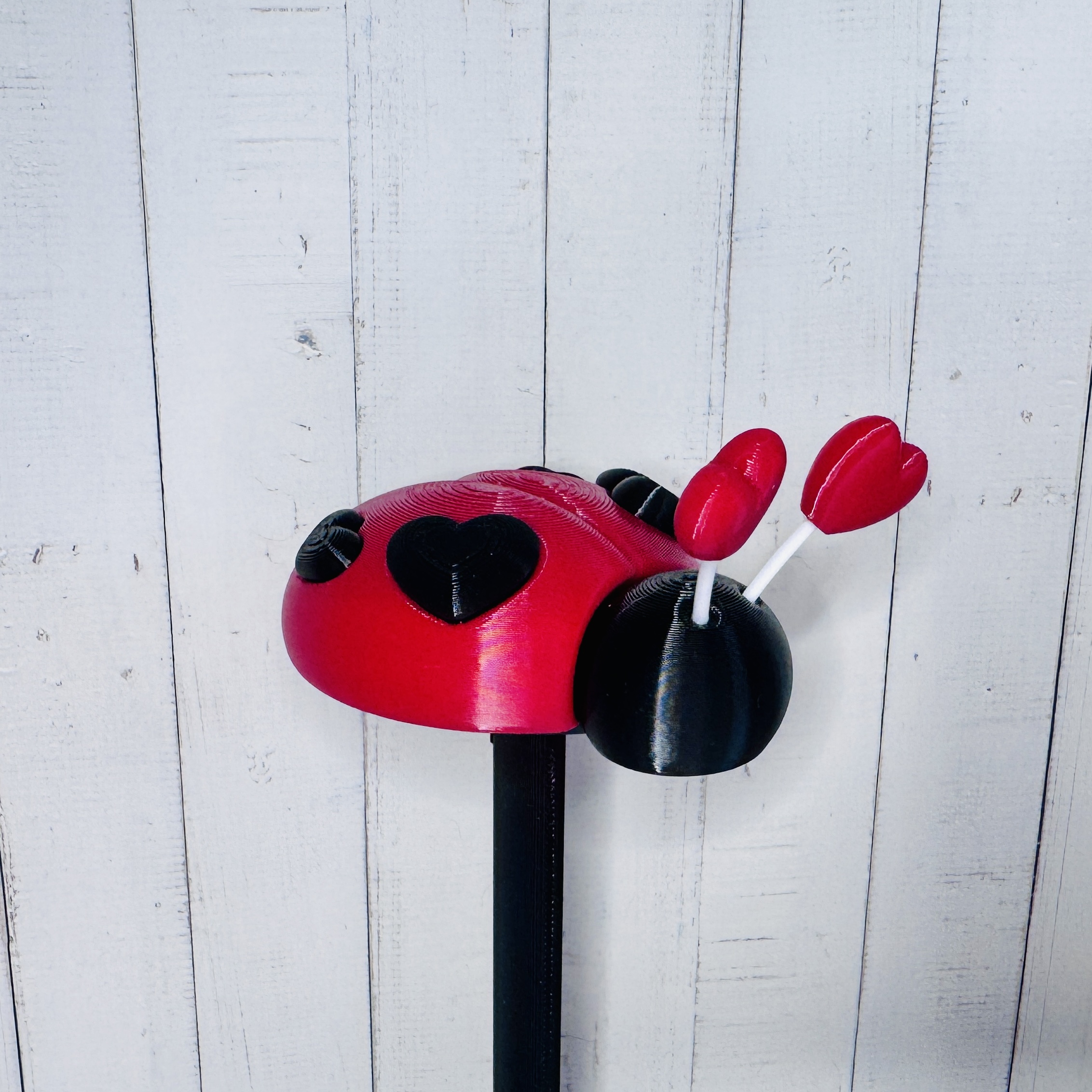 Der kleine “Heidi" – Marienkäfer Gartenstecker in rot-schwarz sucht ein schönes Zuhause oder einen Garten - Outdoor | Garten | Terrasse