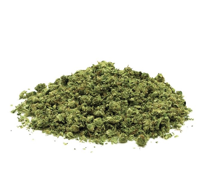 Premium Dried Oregano Leaves