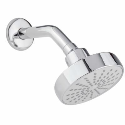 Regadera de pared cromada pv2504