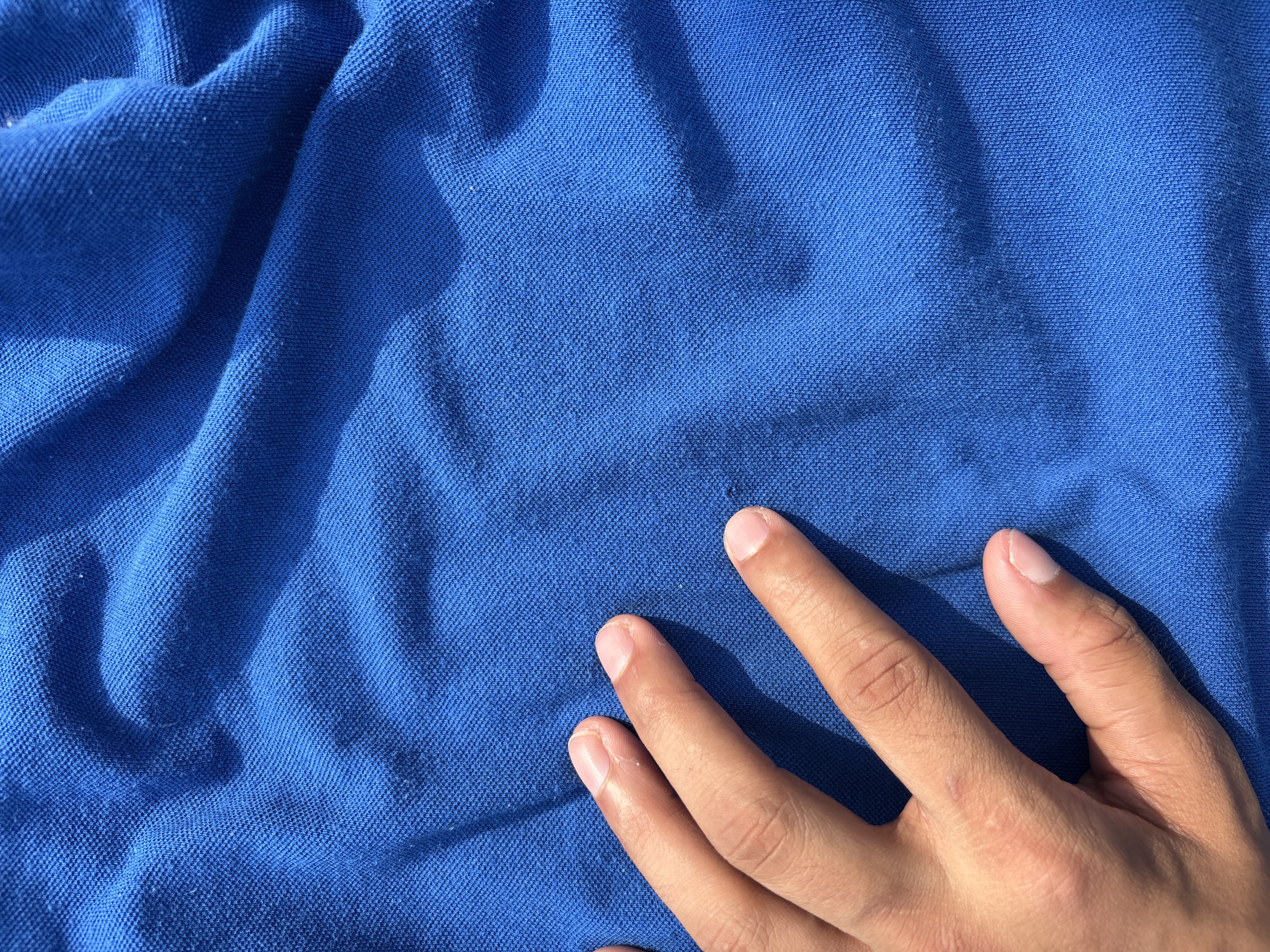 Lacoste Pique Polo T-shirt (L)