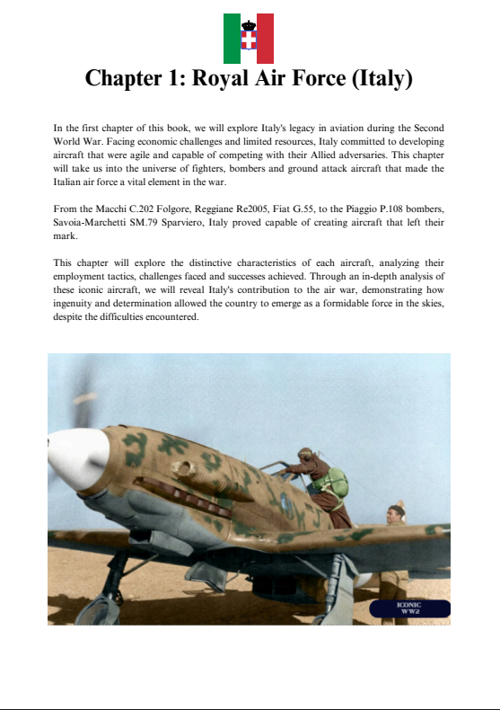 Iconic Aircraft of World War 2: Axis Edition (ENG)