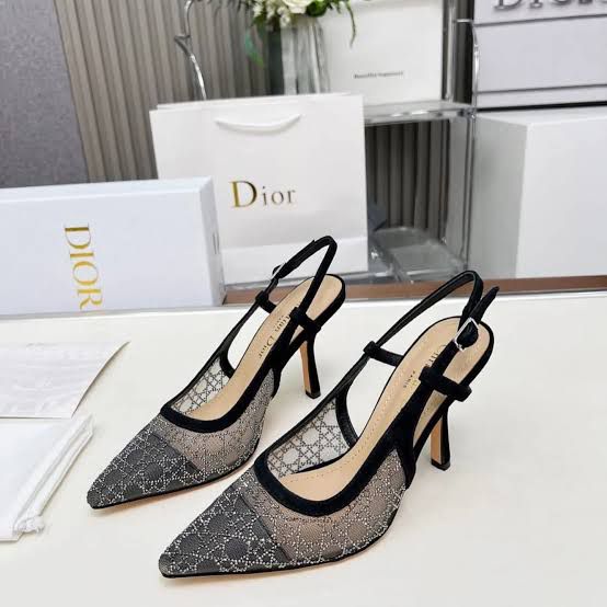 Dior Mesh Slingback Heels