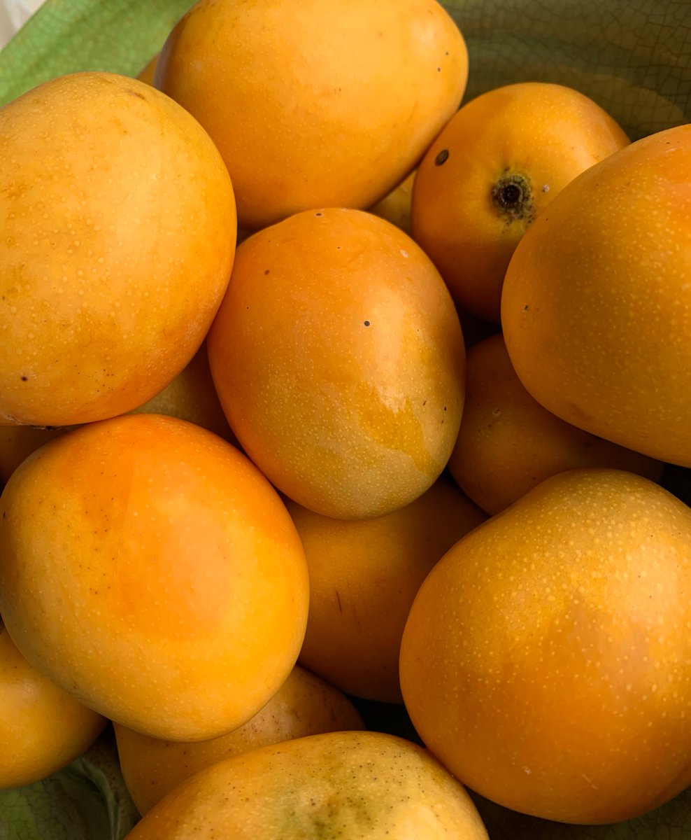 Mango de baby (Ecuador)