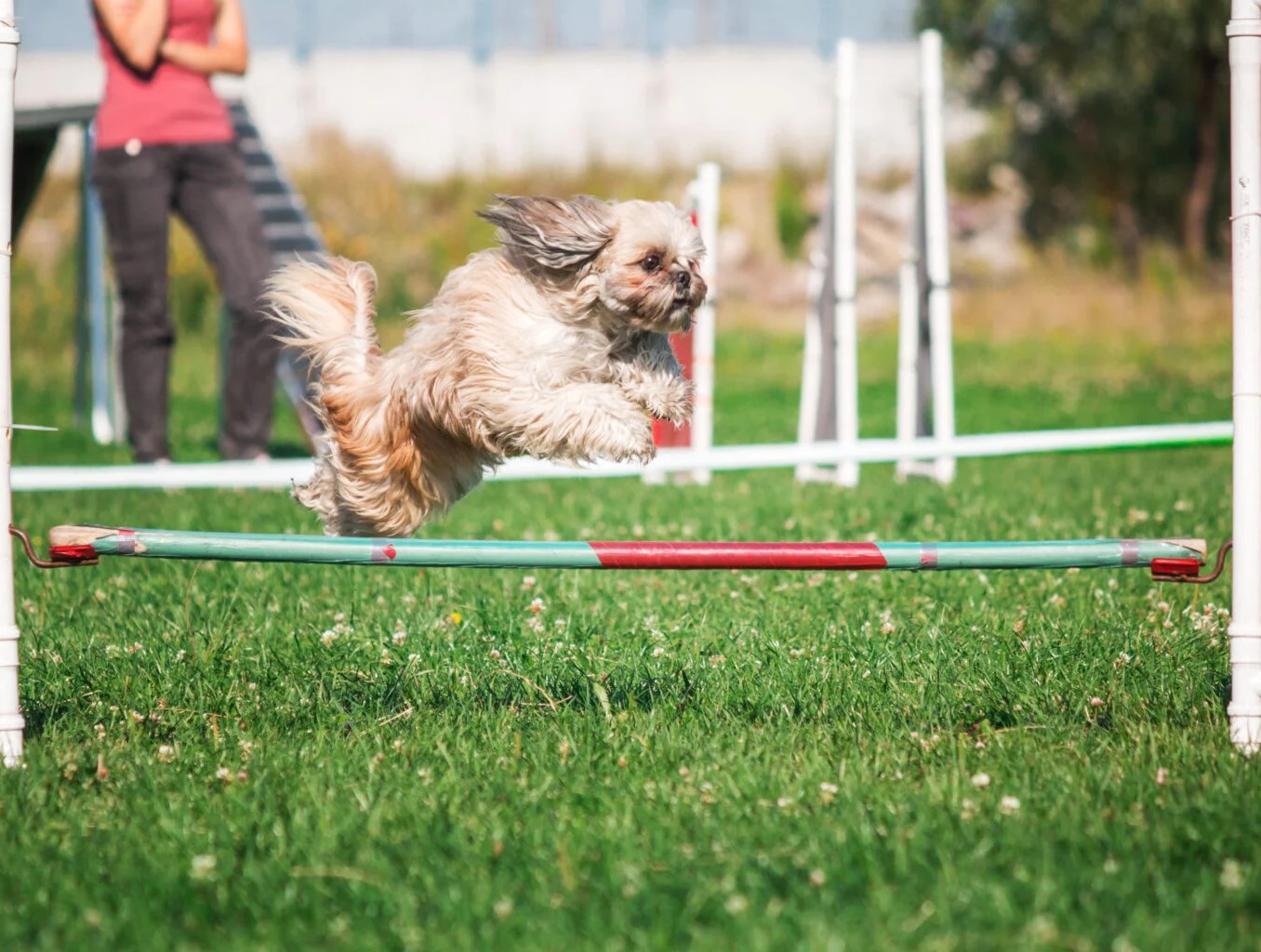 Entrenamiento Avanzado