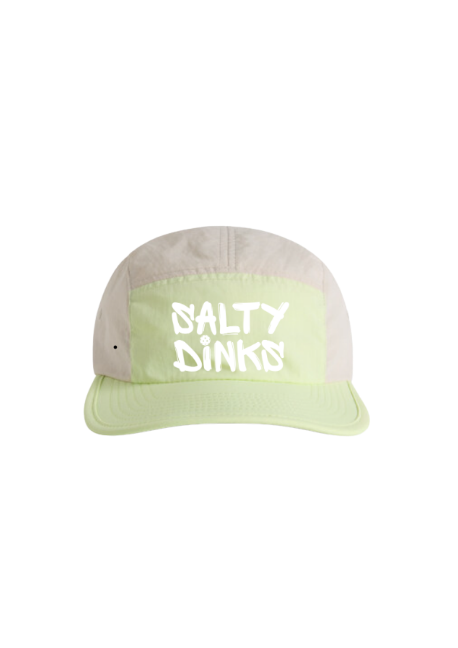 Salty Dinks - Retro cap 