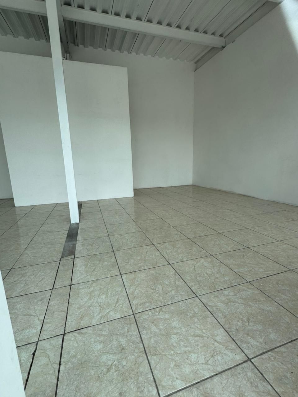 LOCAL COMERCIAL, SOBRE BOULEVARD PEÑA FLOR.