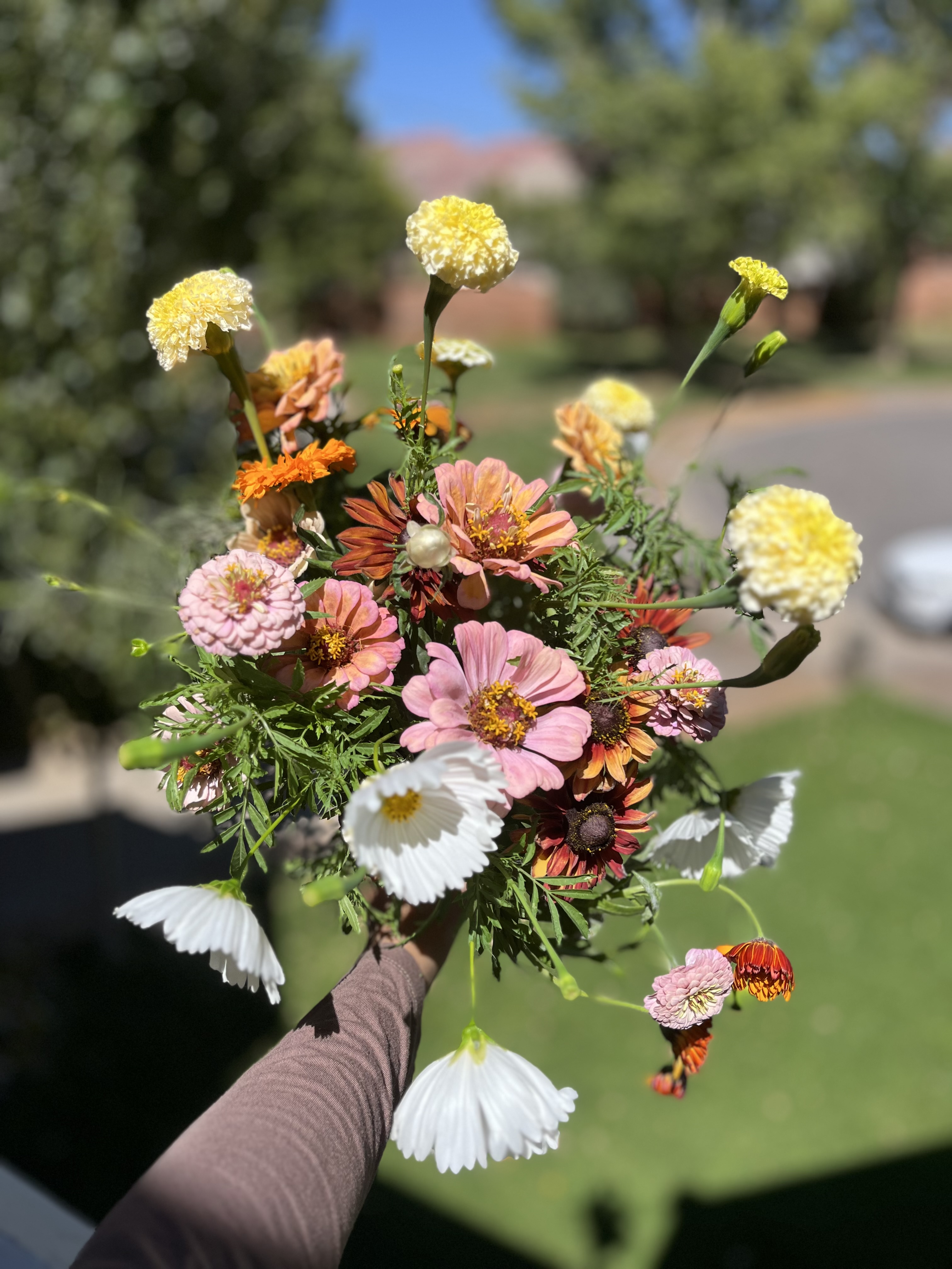 Spring/Fall Bouquet Subscription