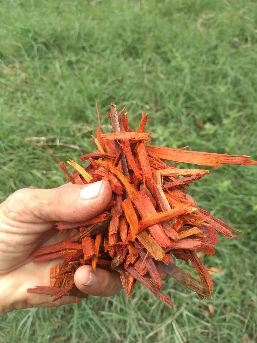 1 kg de Palo de Campeche