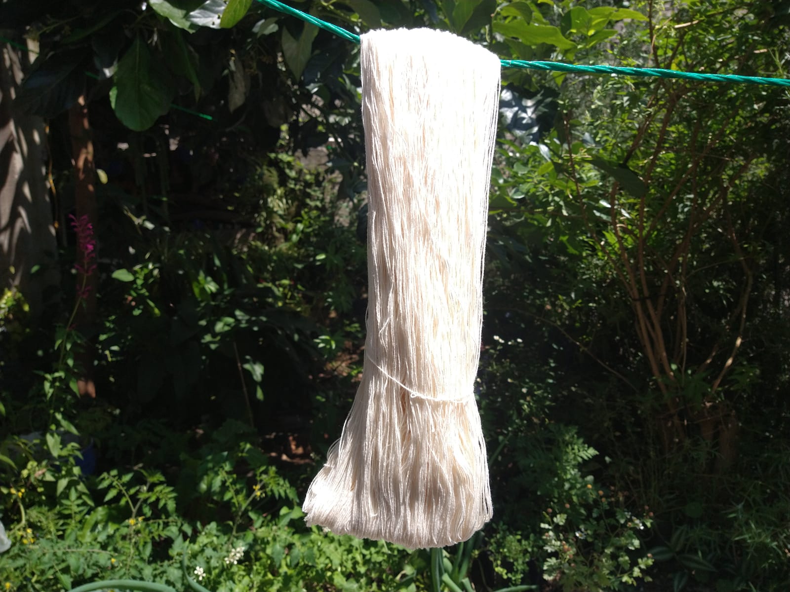 Hilaza de algodón sin mercerizar