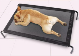 dog bed 