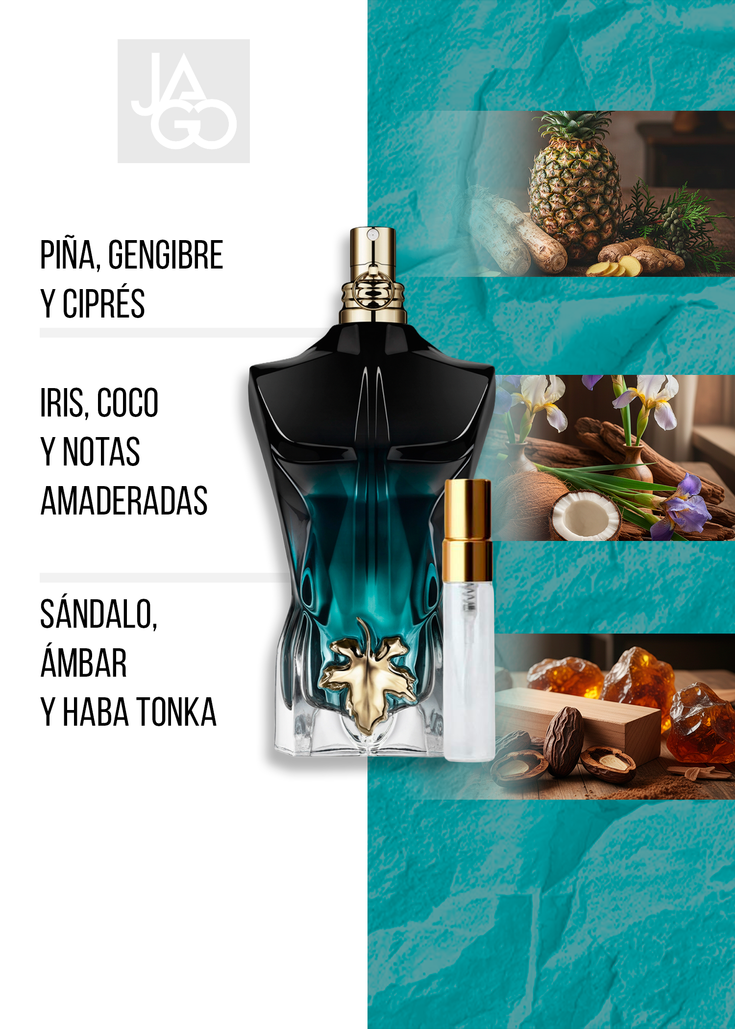 JPG LE BEAU LE PARFUM