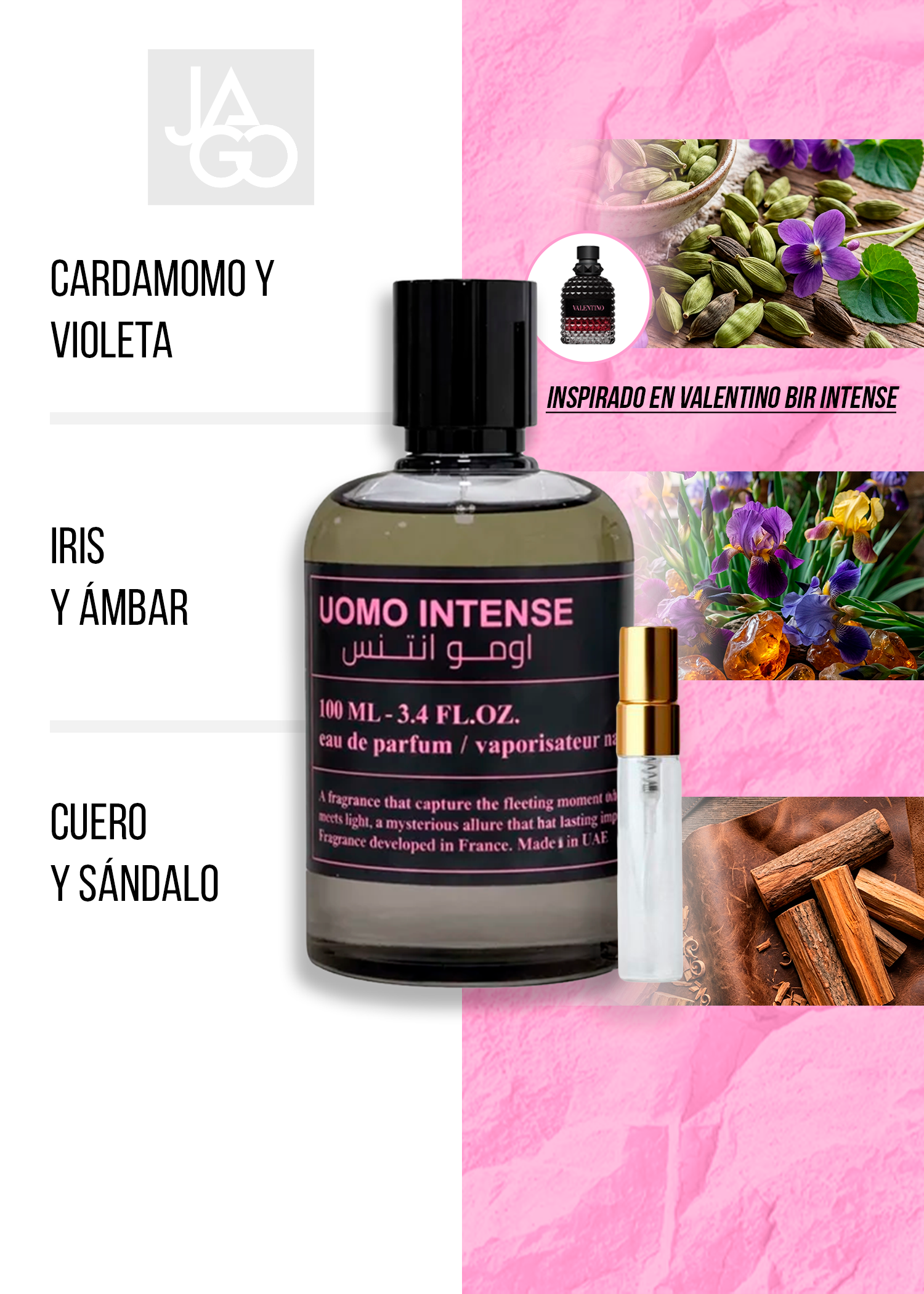 STALLION 53 UOMO INTENSE