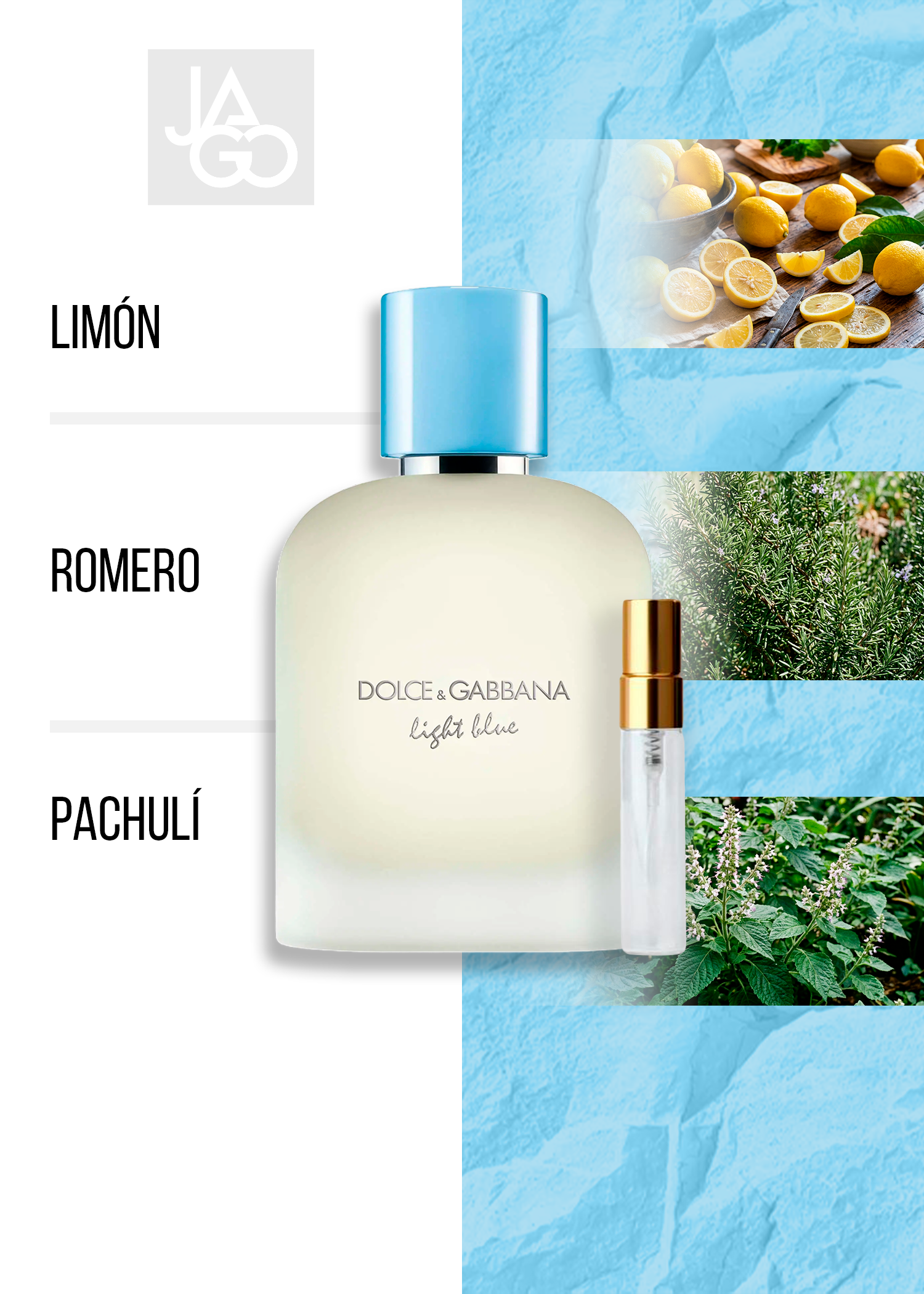 DOLCE & GABBANA LIGHT BLUE 2025