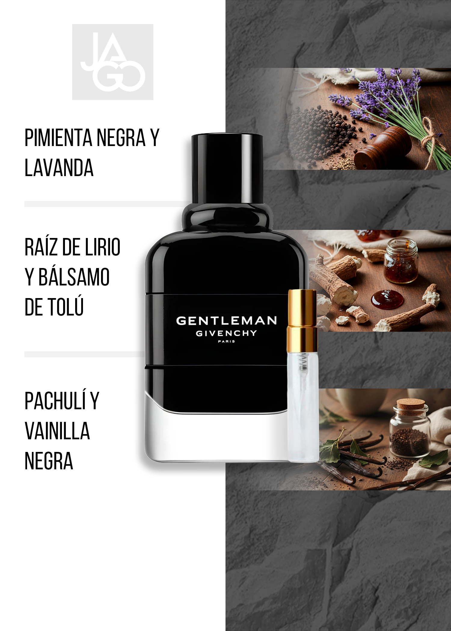 GENTLEMAN EDP