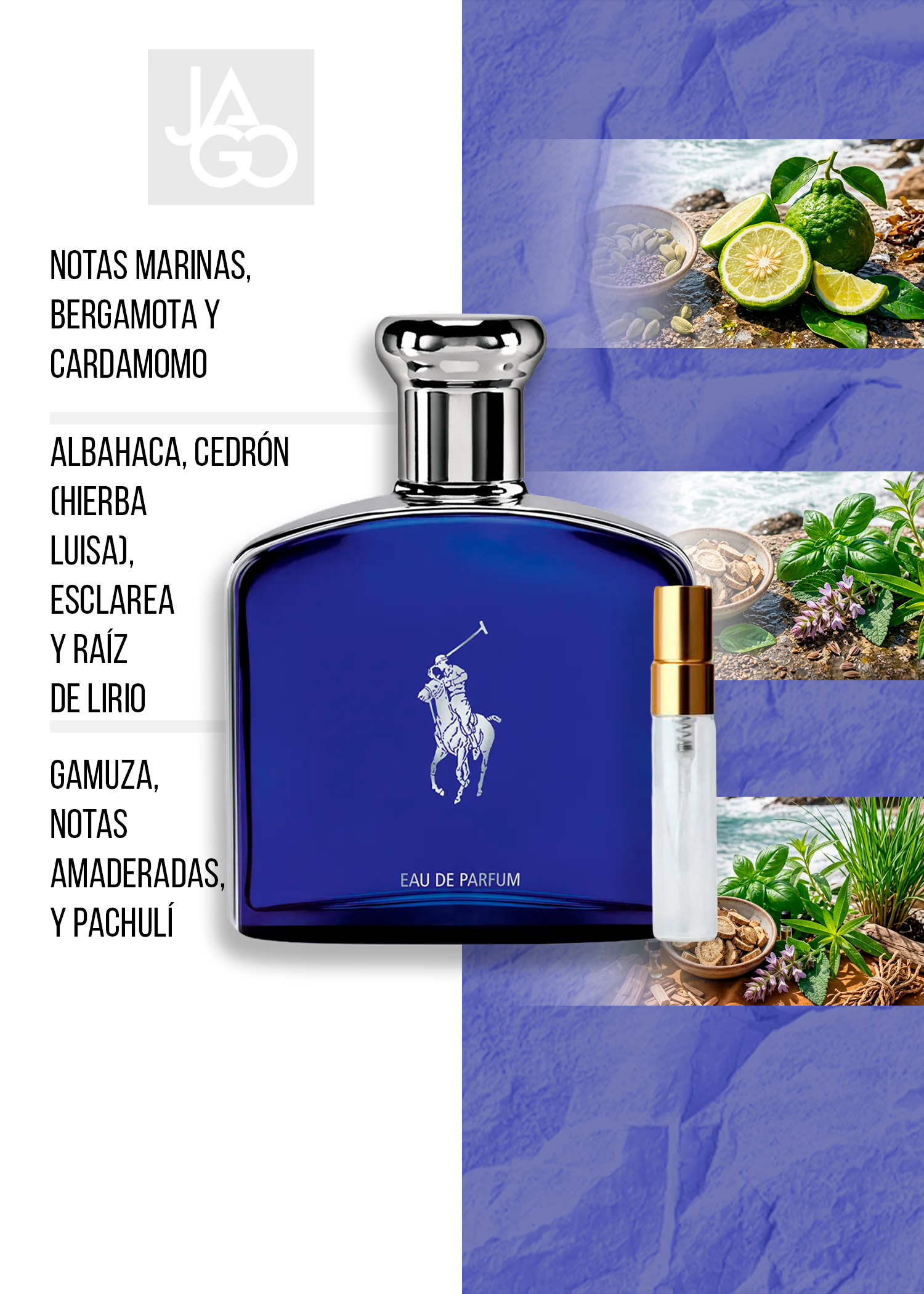 POLO BLUE EDP
