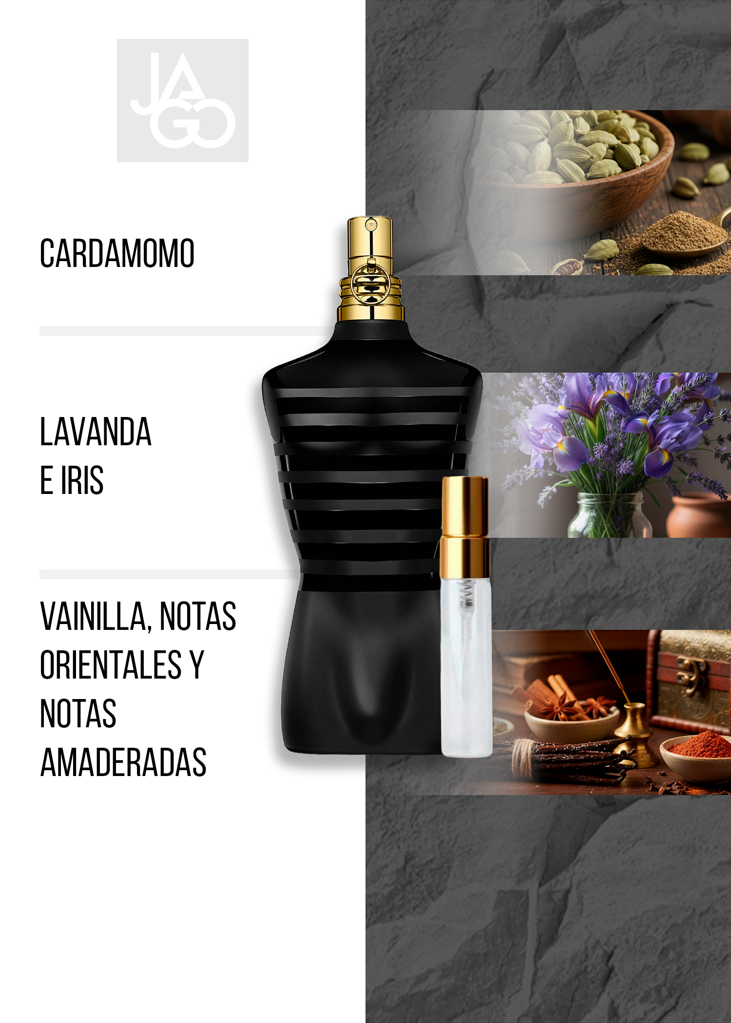 JPG LE MALE LE PARFUM