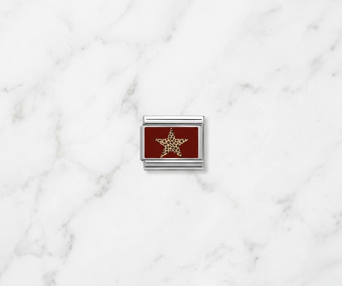 Charm étoile léopard