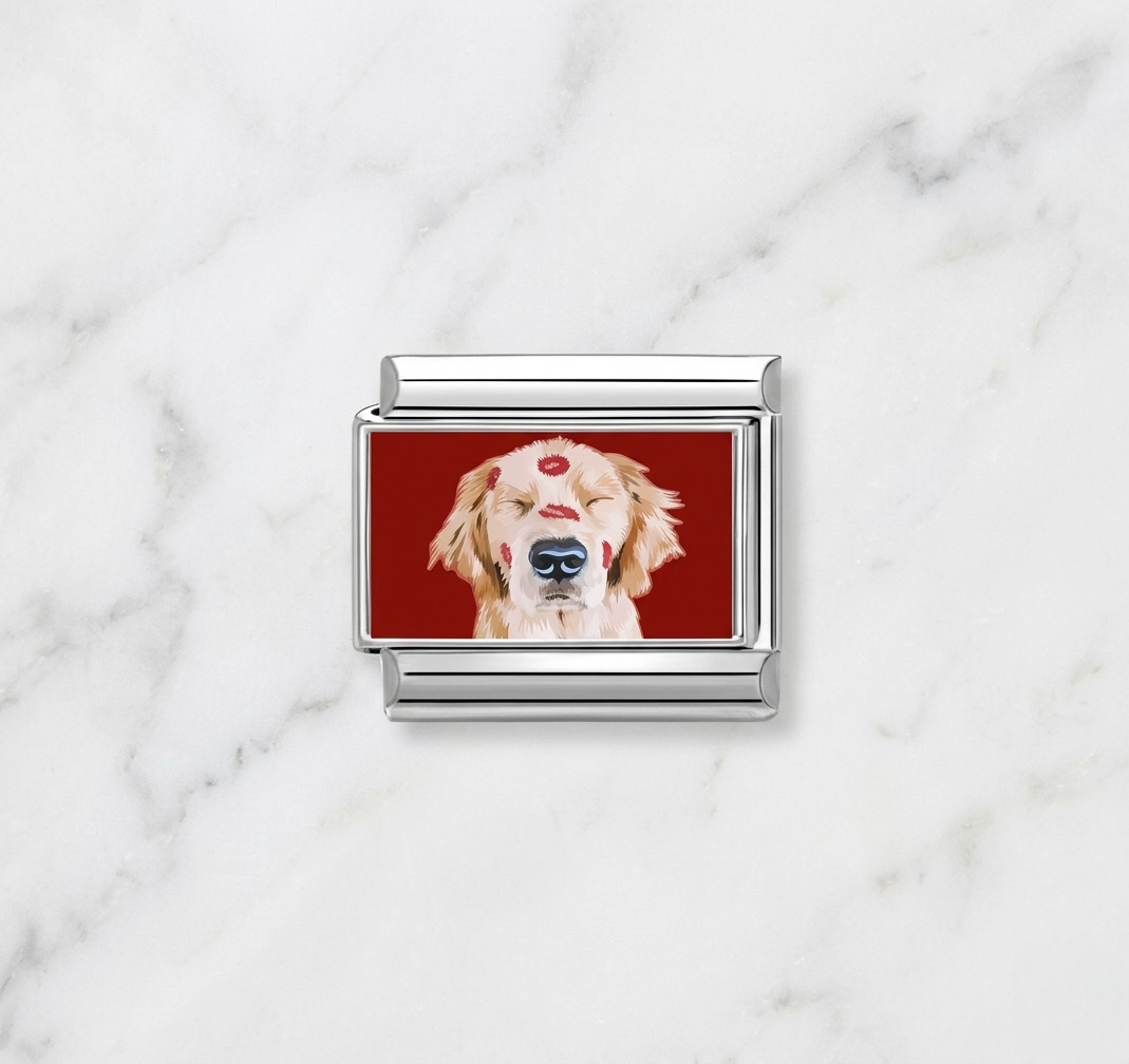 Golden retriever bisous