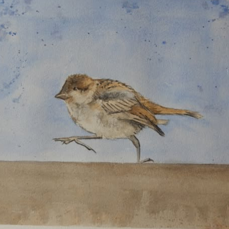 D'un Pas décidé ... 