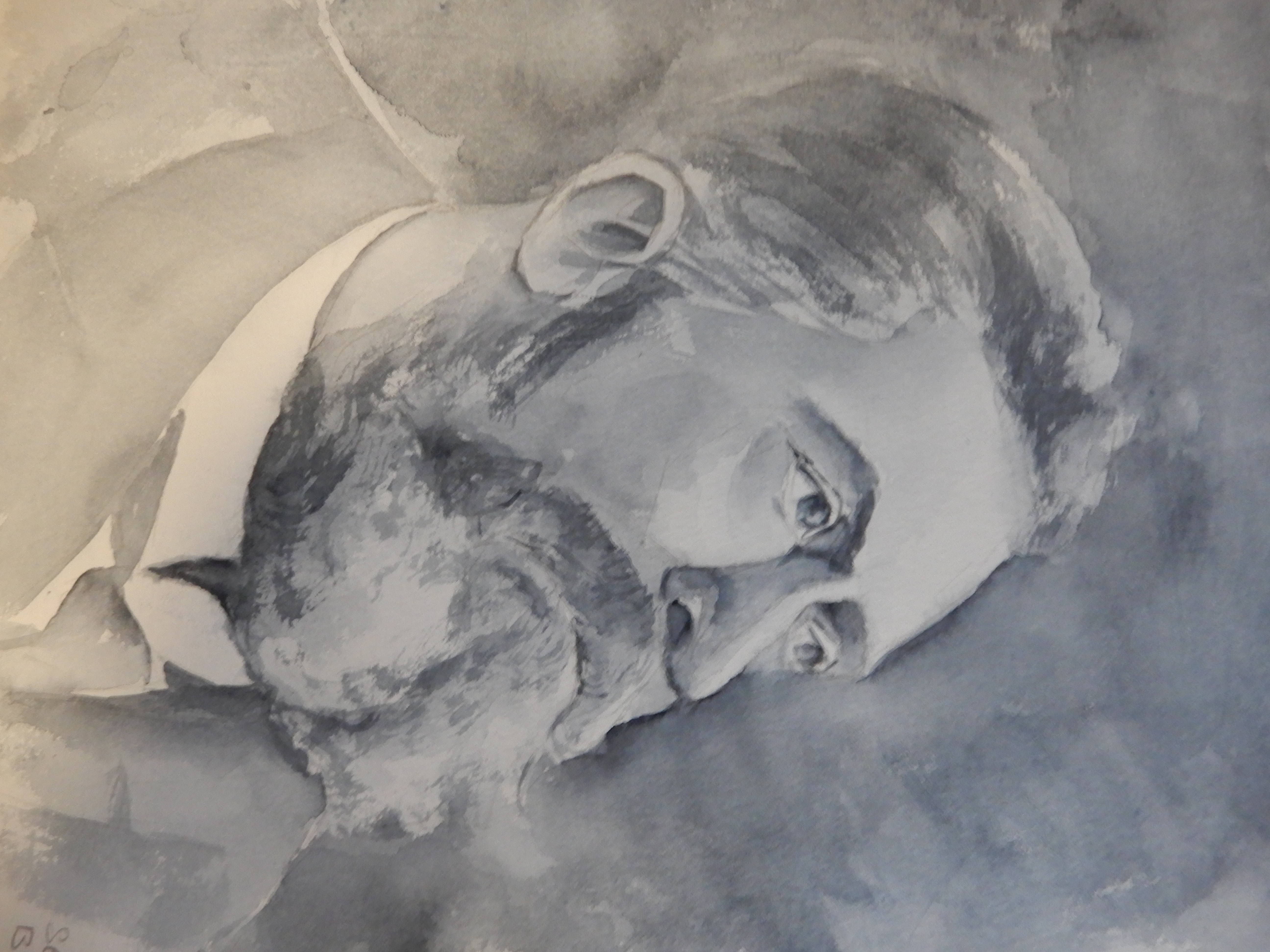 Jean Jaures