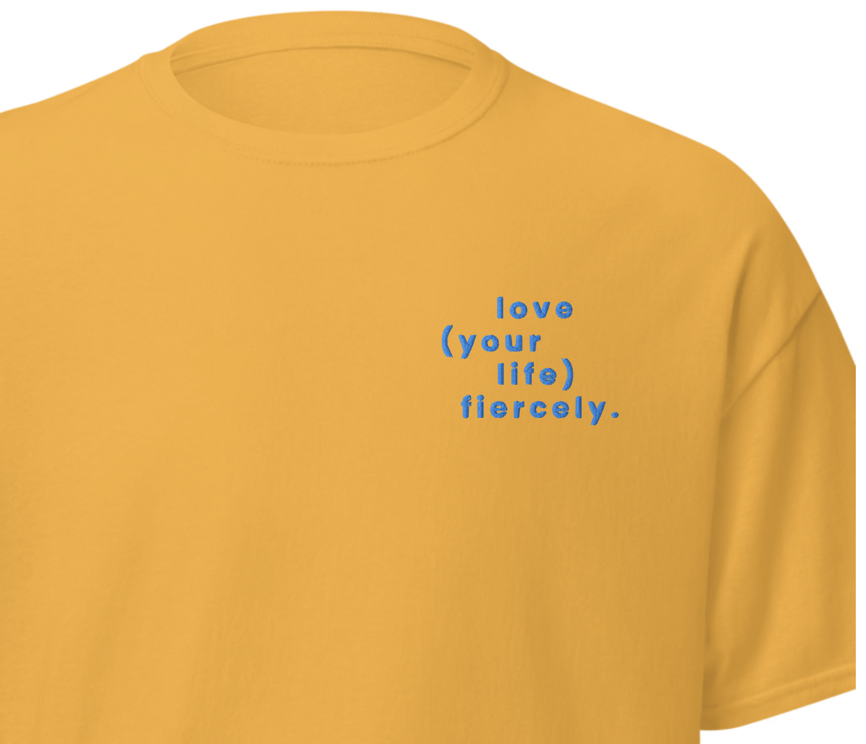 Love Fiercely - The Party of Life 