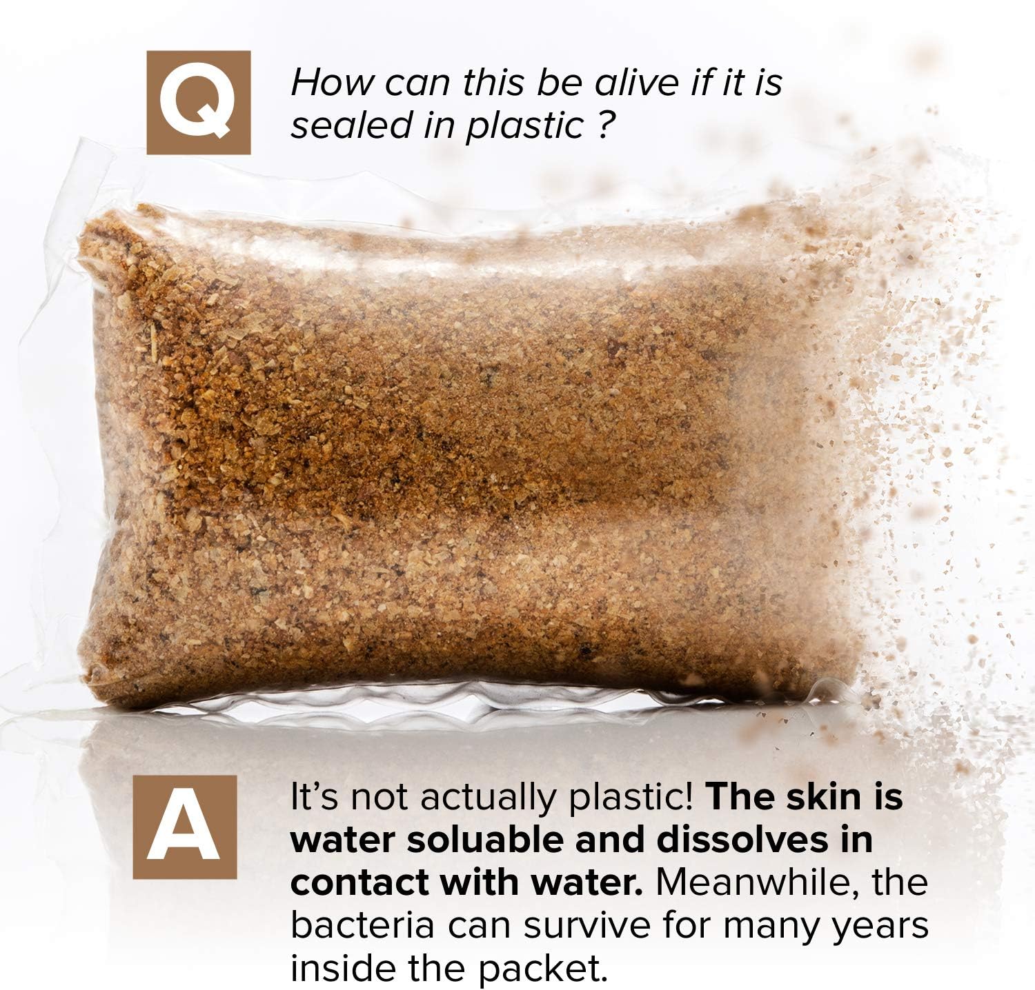 Septic Tank Treatment - 1 Year Supply of Septic Safe Dissolvable Easy Flush Live Bacteria Packets (12 Count)