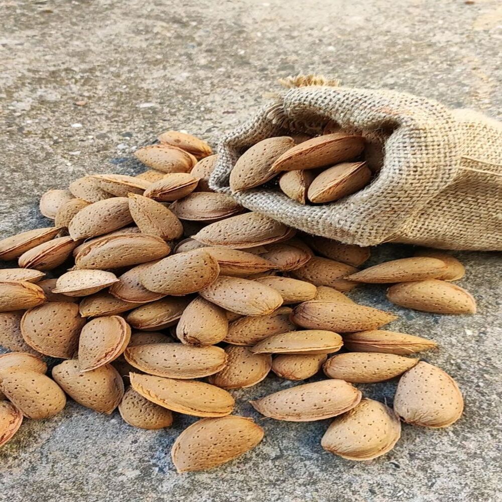 Kagazi Almonds 