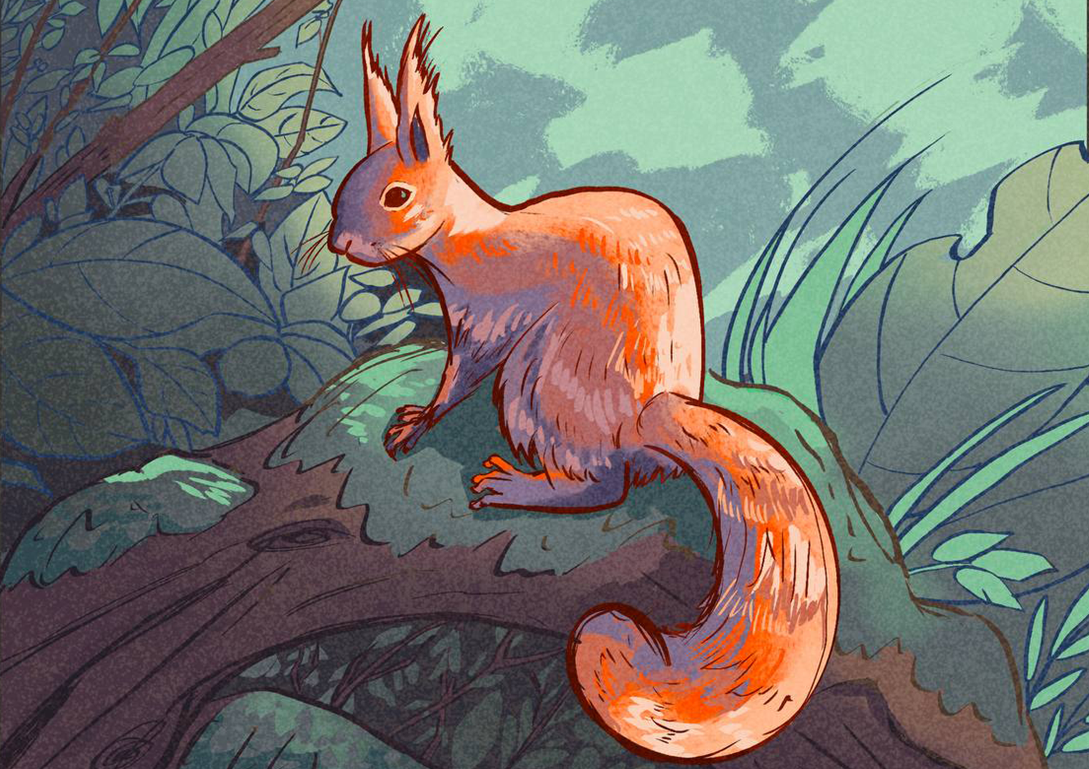 Squirrel on Tree - Print