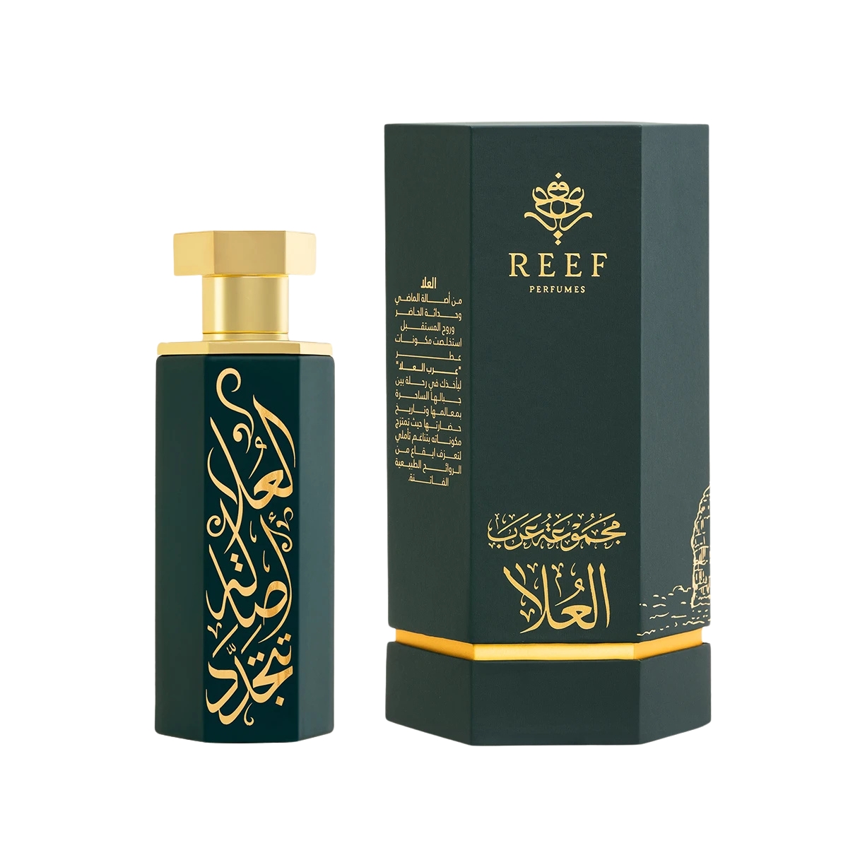 REEF perfume Arabs of ALULA 100ml