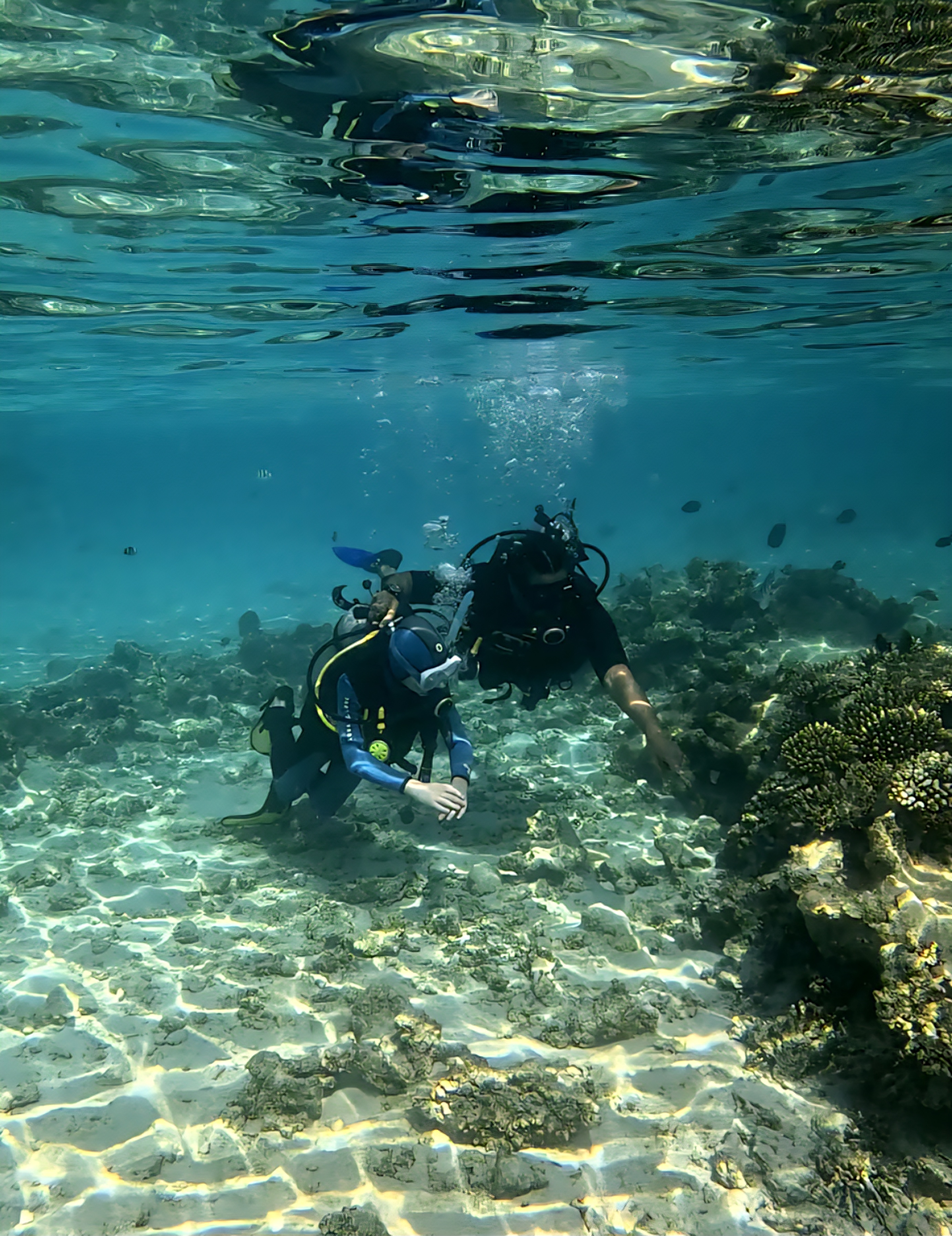 Discover Scuba Diving
