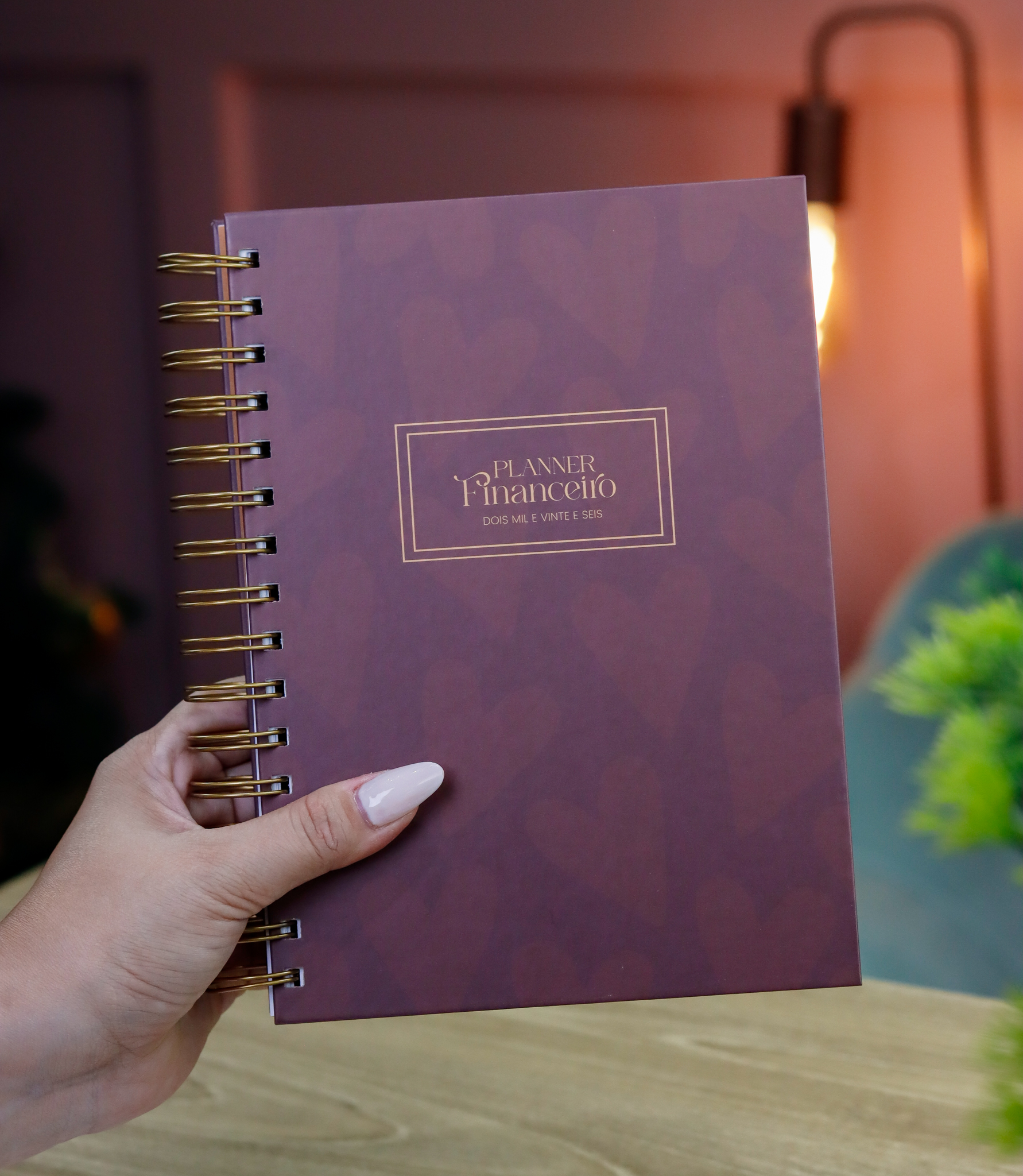 Kit planner financeiro A5 