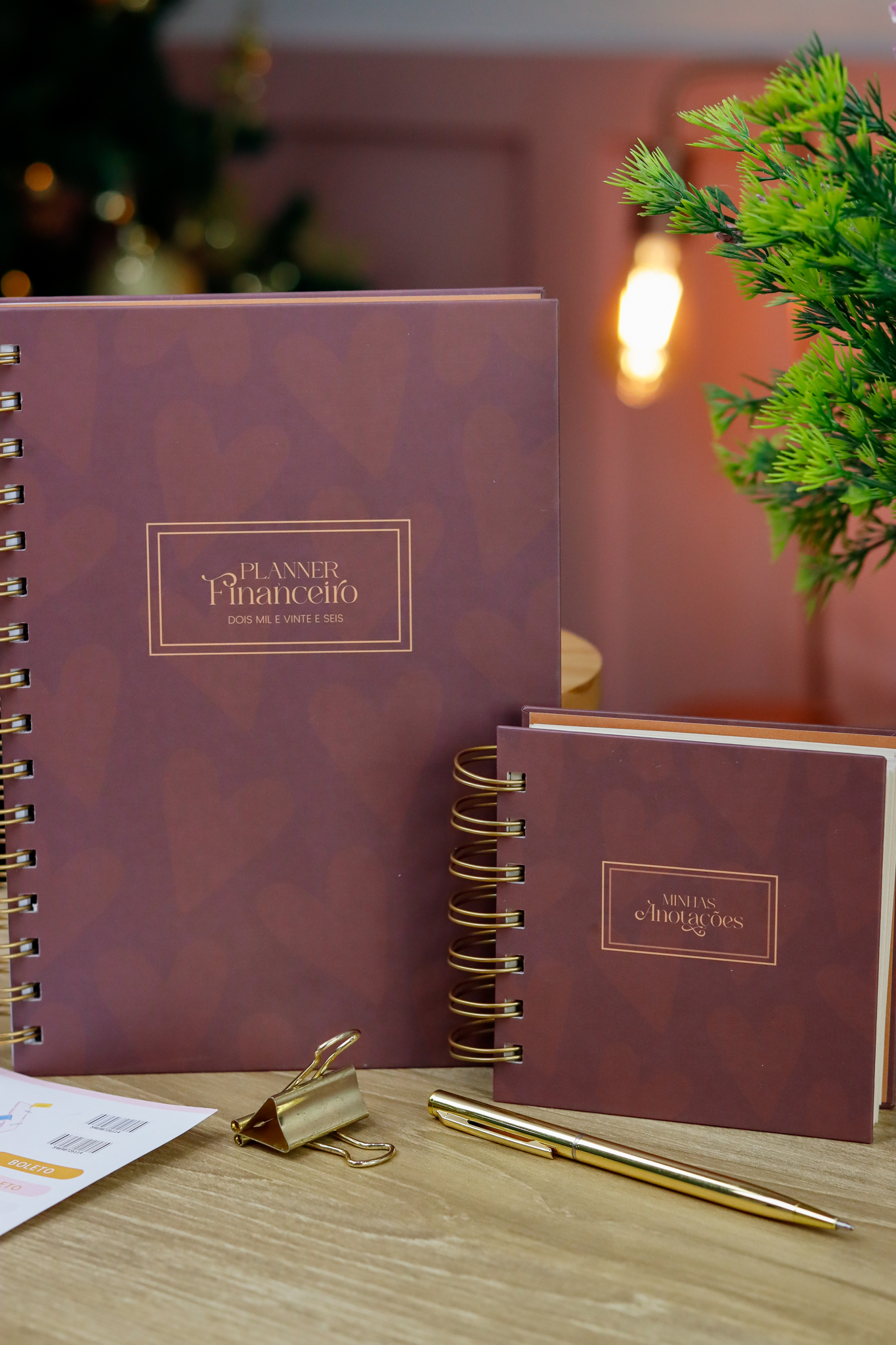 Kit planner financeiro A5 