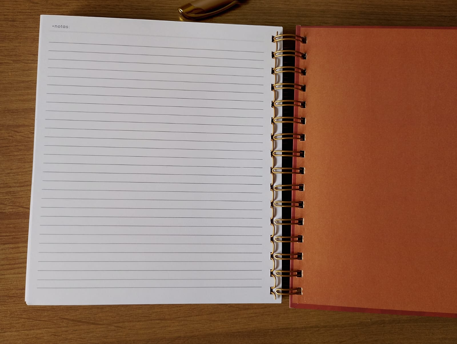 Planner financeiro marrom