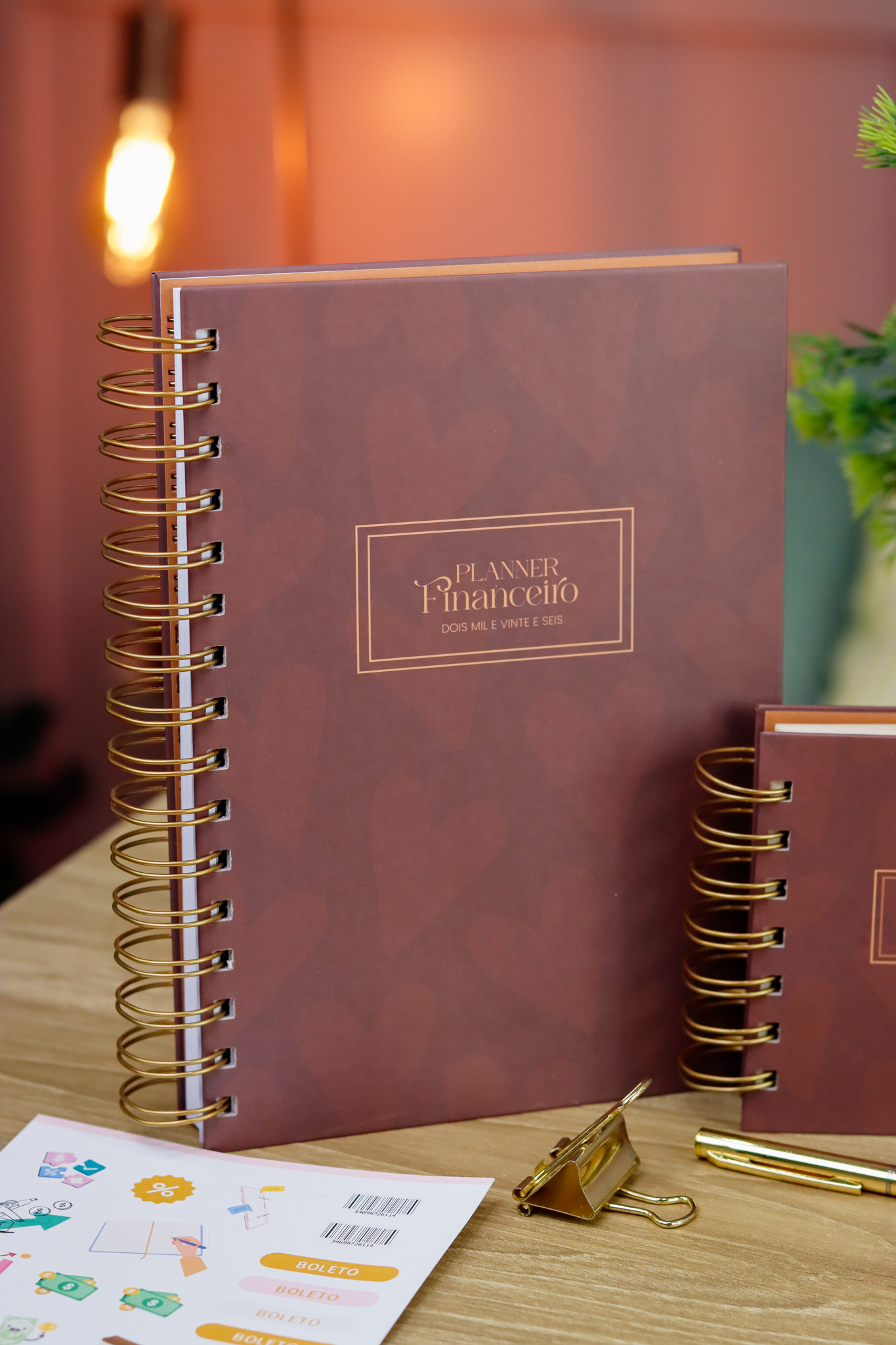 Kit planner financeiro A5 