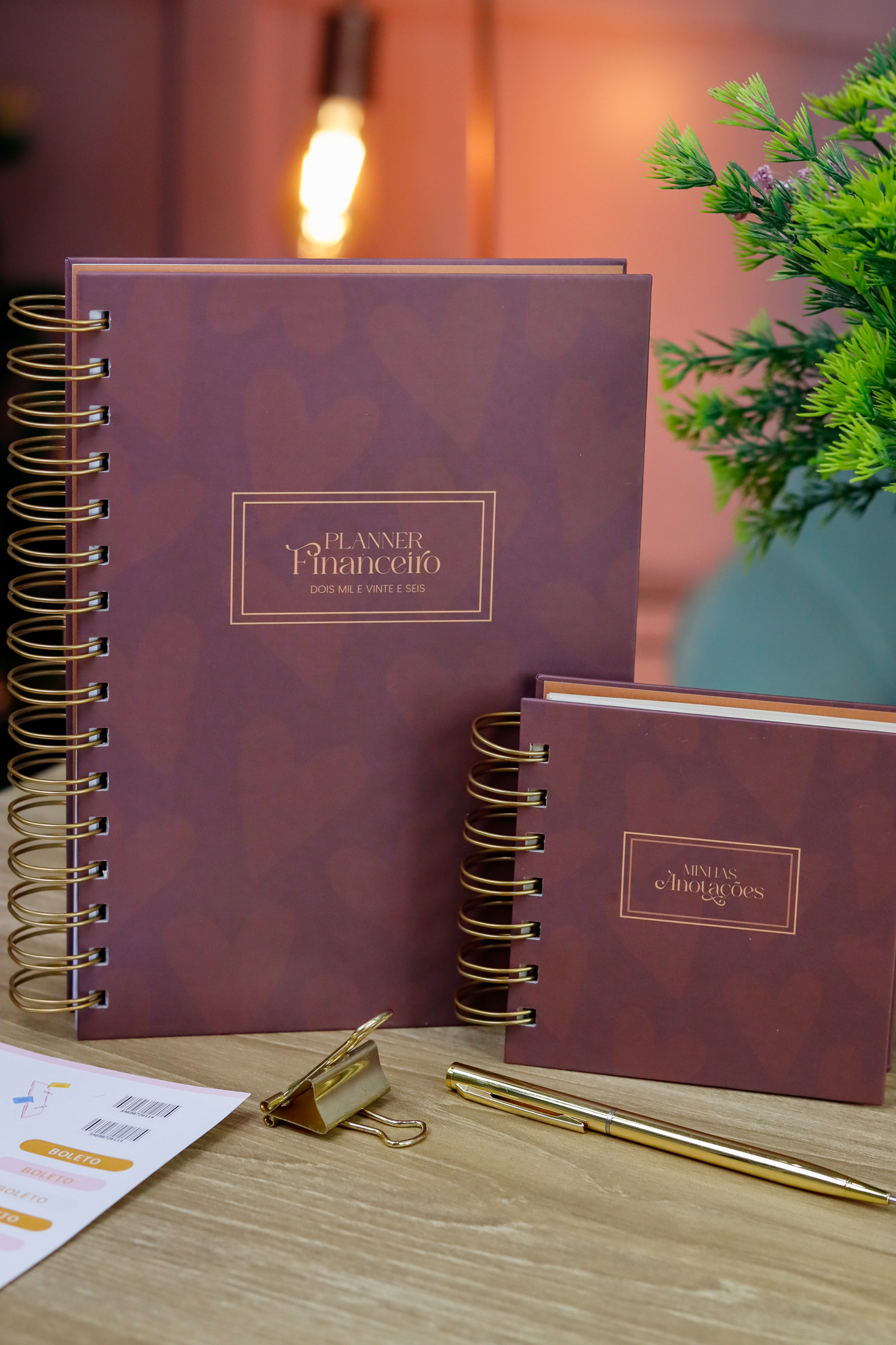 Kit planner financeiro A5 