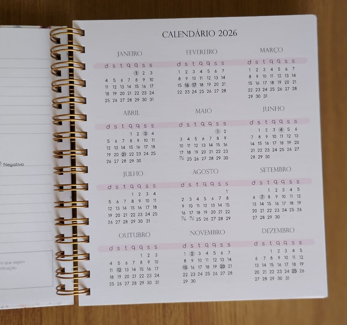 Planner financeiro floral