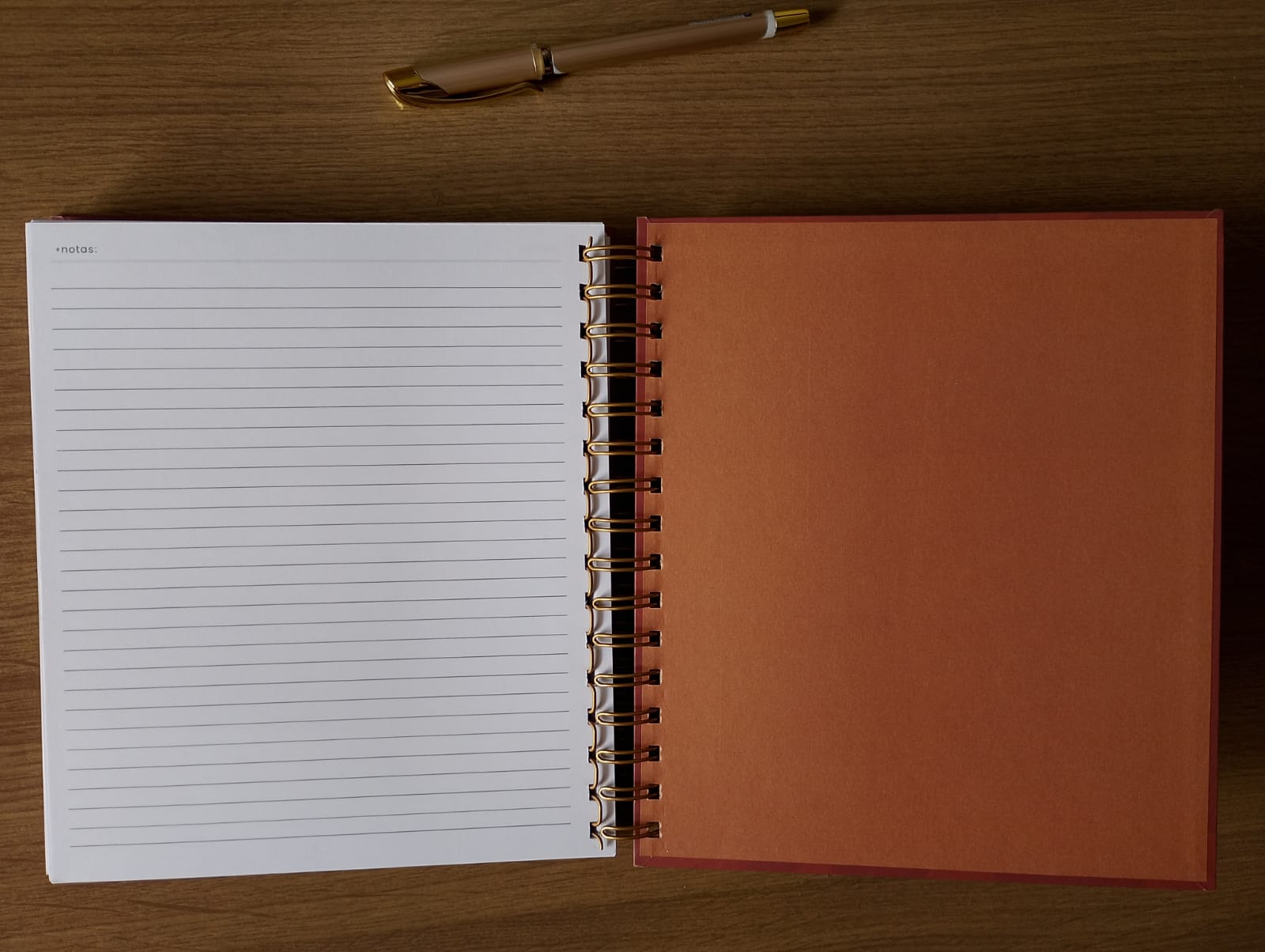 Planner financeiro marrom